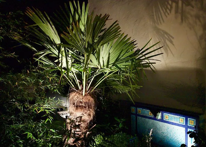 Du Square, Luxury Oda ve Kahvaltı